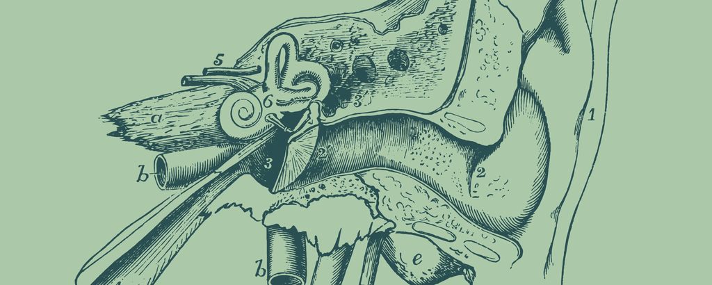 Ear illustration supporting this intervention