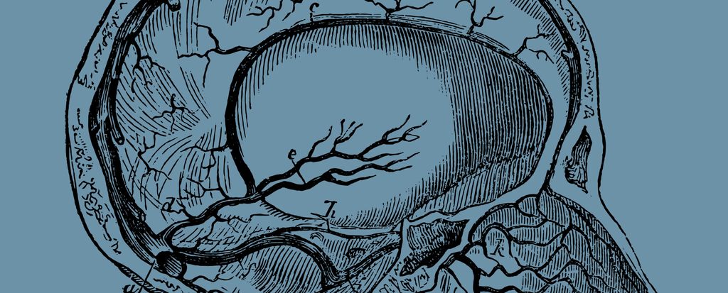 Eye illustration supporting this intervention