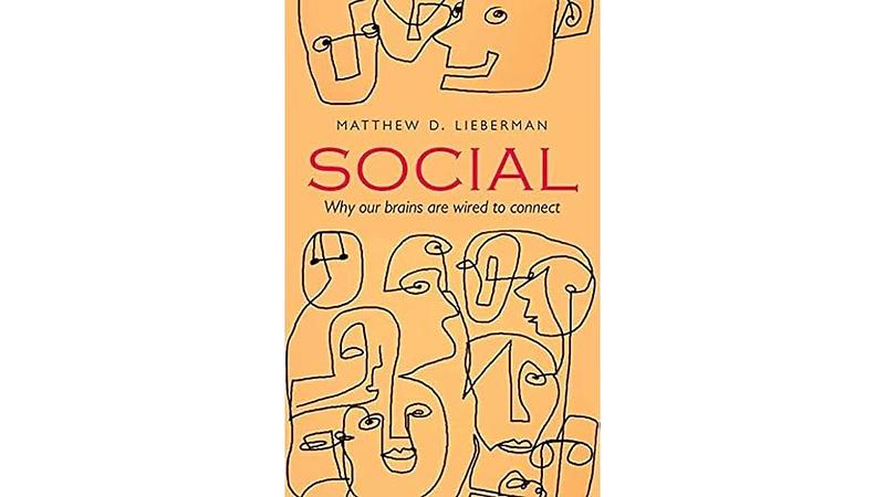 Social: Why our brains are wired to connect (book, audiobook)