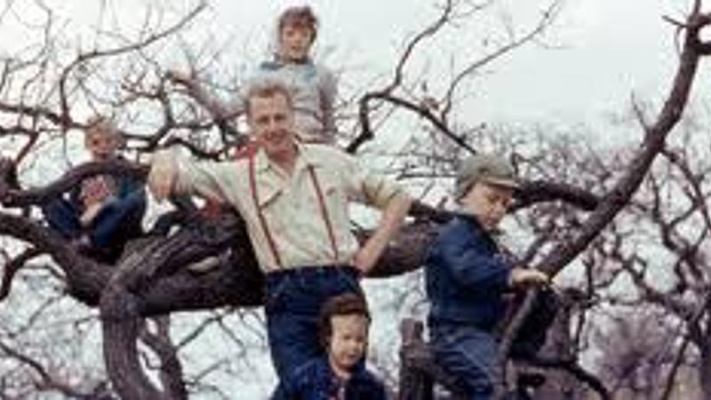 The Harvard Study of Adult Development (website, TED talk, podcast)