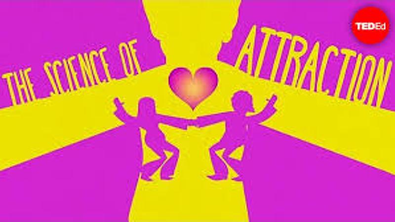 The Science of Attraction (TED talk)