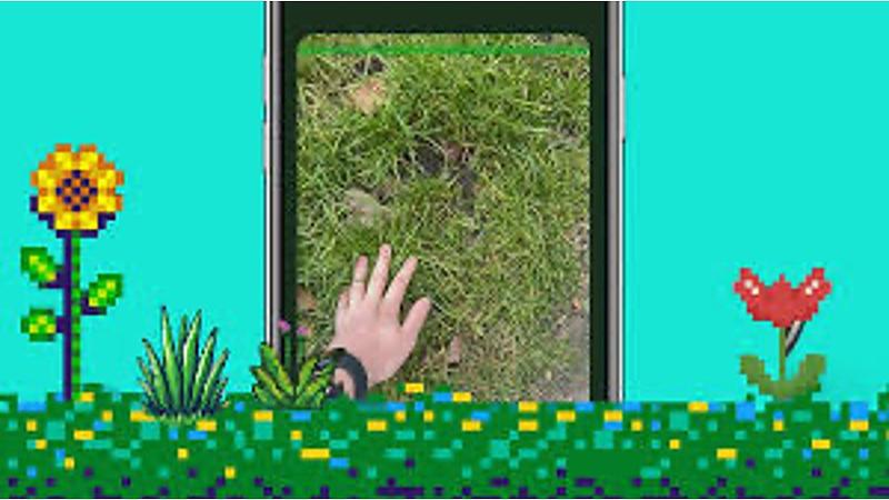 Touch grass app