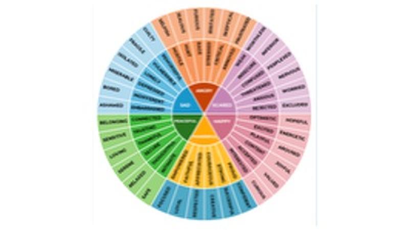 Feelings / emotion wheel