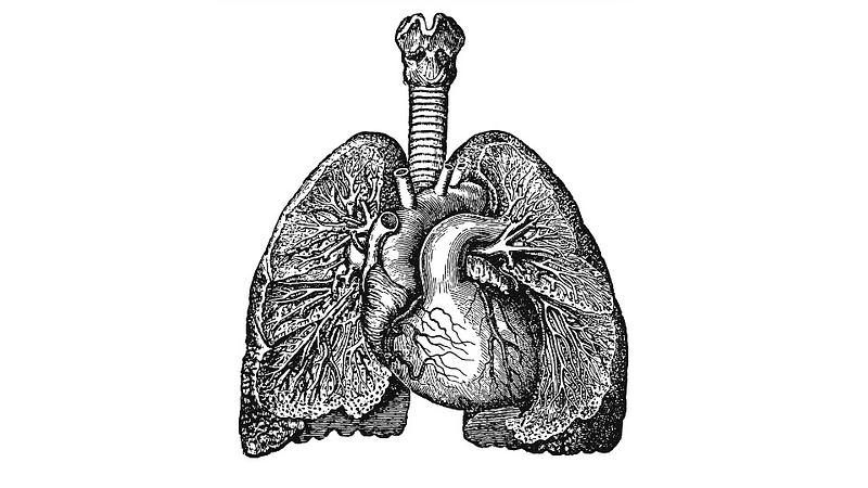 Diaphragmatic breathing
