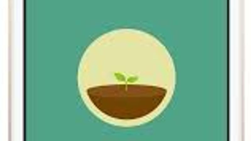 Forest app